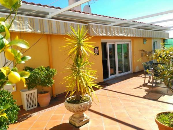 Apartamentos Merida Center Exterior photo